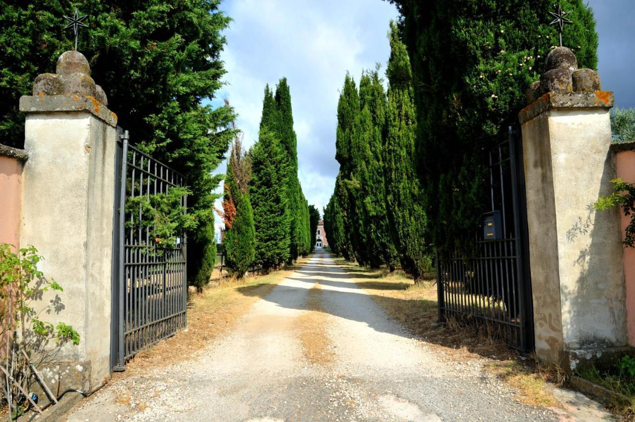 Agriturismo Casale Bonaparte Cellere Exteriör bild